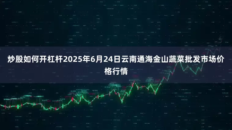 炒股如何开杠杆2025年6月24日云南通海金山蔬菜批发市场价格行情