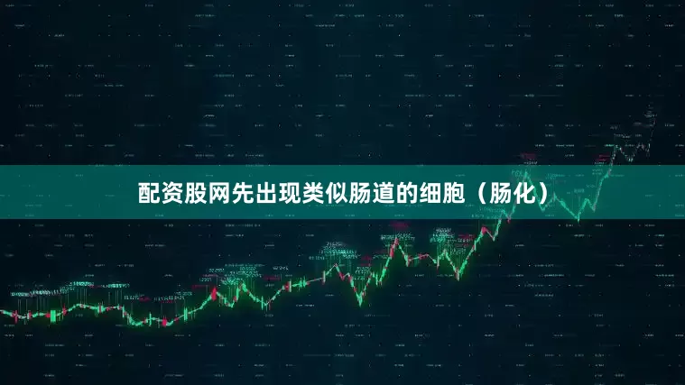 配资股网先出现类似肠道的细胞（肠化）