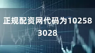 正规配资网代码为102583028