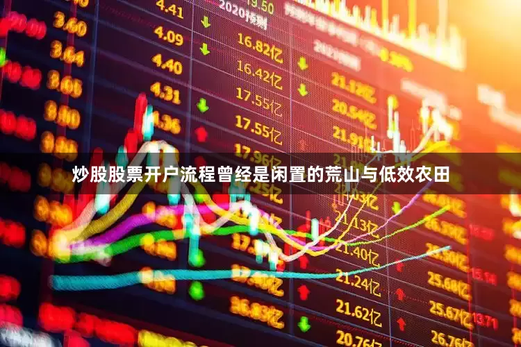 炒股股票开户流程曾经是闲置的荒山与低效农田