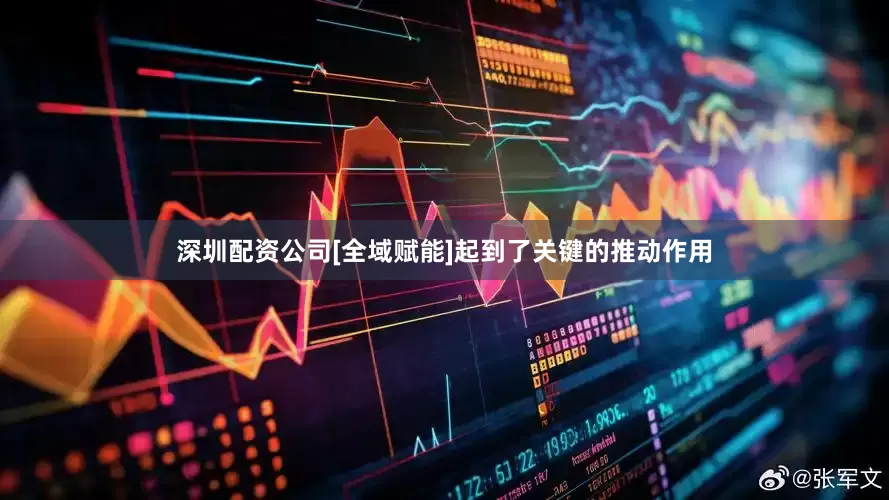深圳配资公司[全域赋能]起到了关键的推动作用